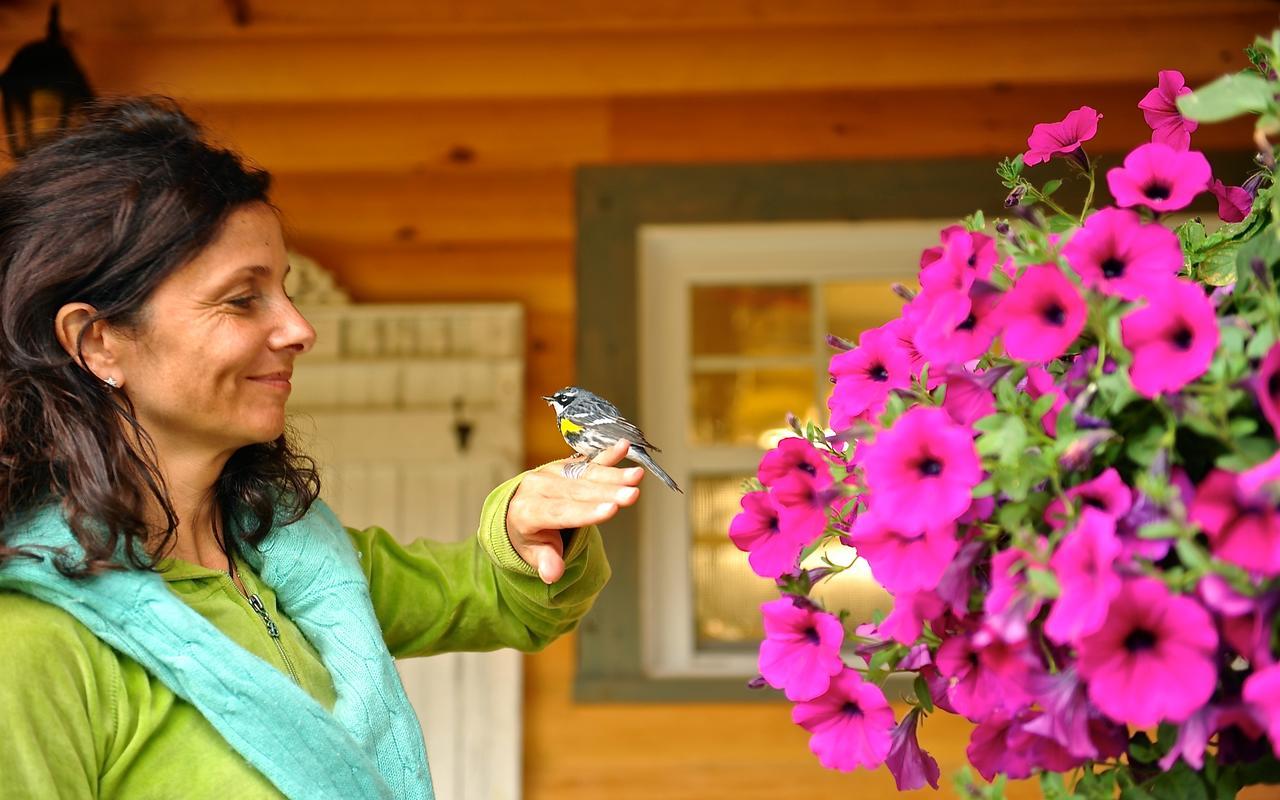 Le Bivouac - Les Chalets Spa Canada La Malbaie Eksteriør bilde